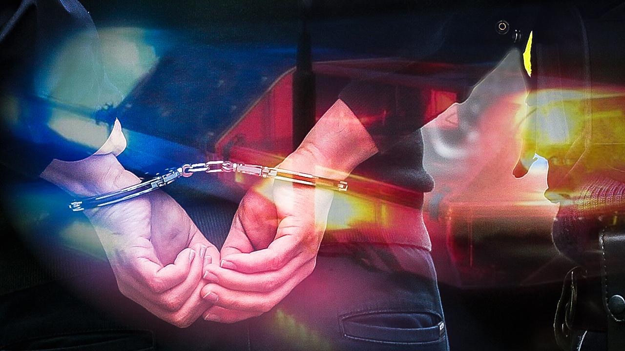 Türkiye ve Bulgaristan'dan Sınır Aşan Suç Örgütlerine Karşı Ortak Harekat