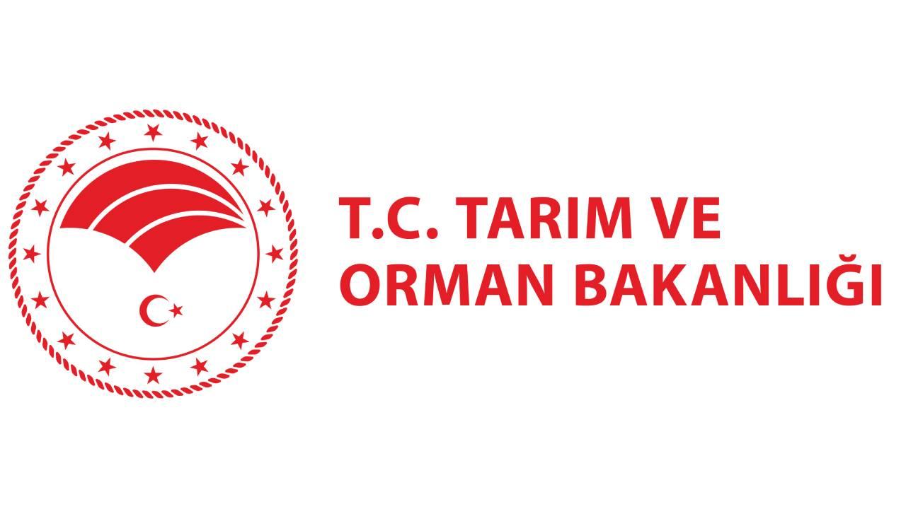Yapay Et Tartışması Alevlendi! Bakanlık'tan Net Cevap: O İş Türkiye'de Olmayacak!