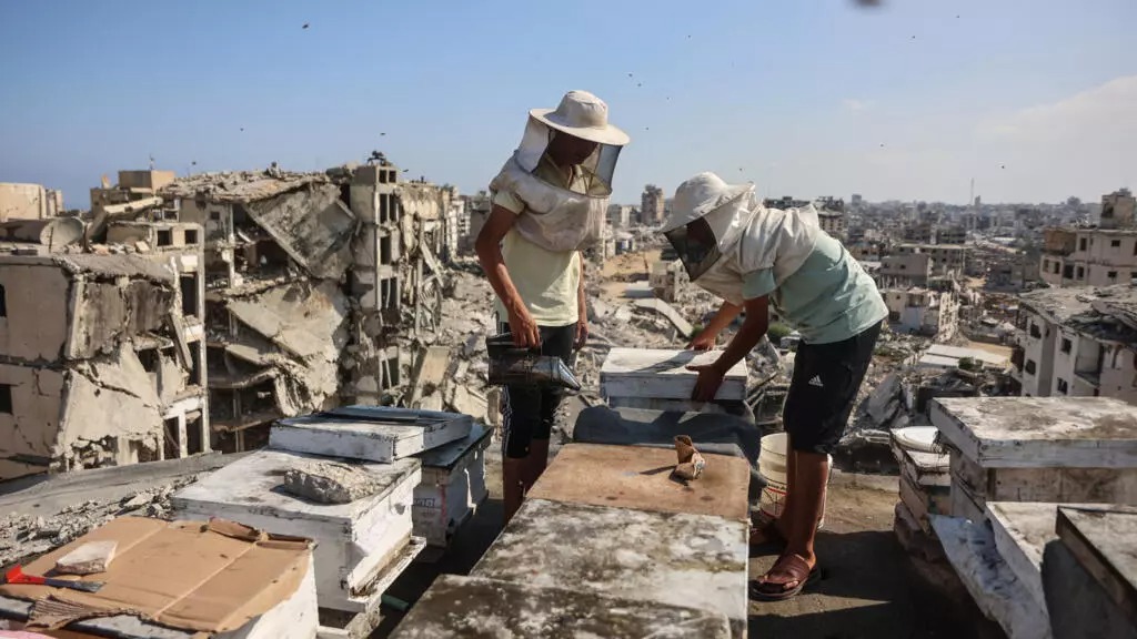 Yıkıntılar Arasında Yaşam Mücadelesi: Gazze'de Dirençli Arıcılık