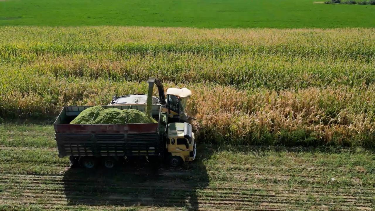 Yükseköğretimde Tarım Devrimi: Teknoloji Odaklı Yeni Eğitim Modeli