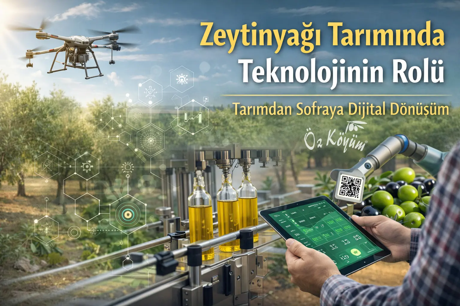 Zeytinyağında Devrim! Köyden Markete Her Aşama Artık Dijitalleşiyor! Bu Lezzet Daha da Değerlenecek mi?