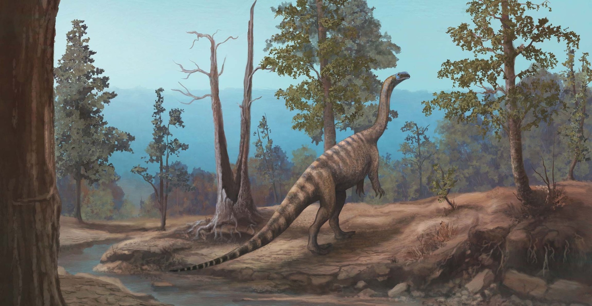 Zimbabve'de 210 Milyon Yıllık Yeni Dinozor Türü Keşfedildi