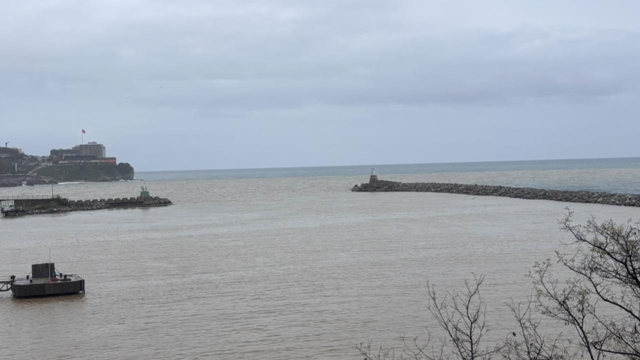 Zonguldak'ta Deniz Şoke Etti! Gördüğünüzde Gözlerinize İnanamayacaksınız!
